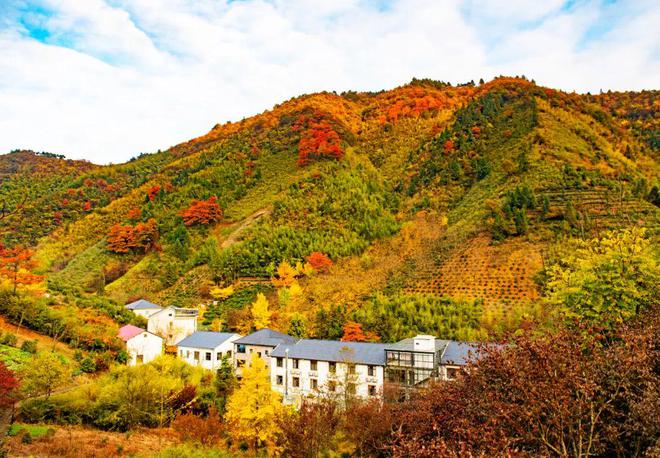 先后获得“国家级海洋公园”“国家级传统村落（庙子湖）”“全国乡村旅游重点镇”“浙江省美丽城镇”等多项荣誉称号